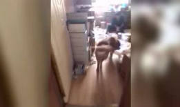 污免费视频,纯净娱乐新体验